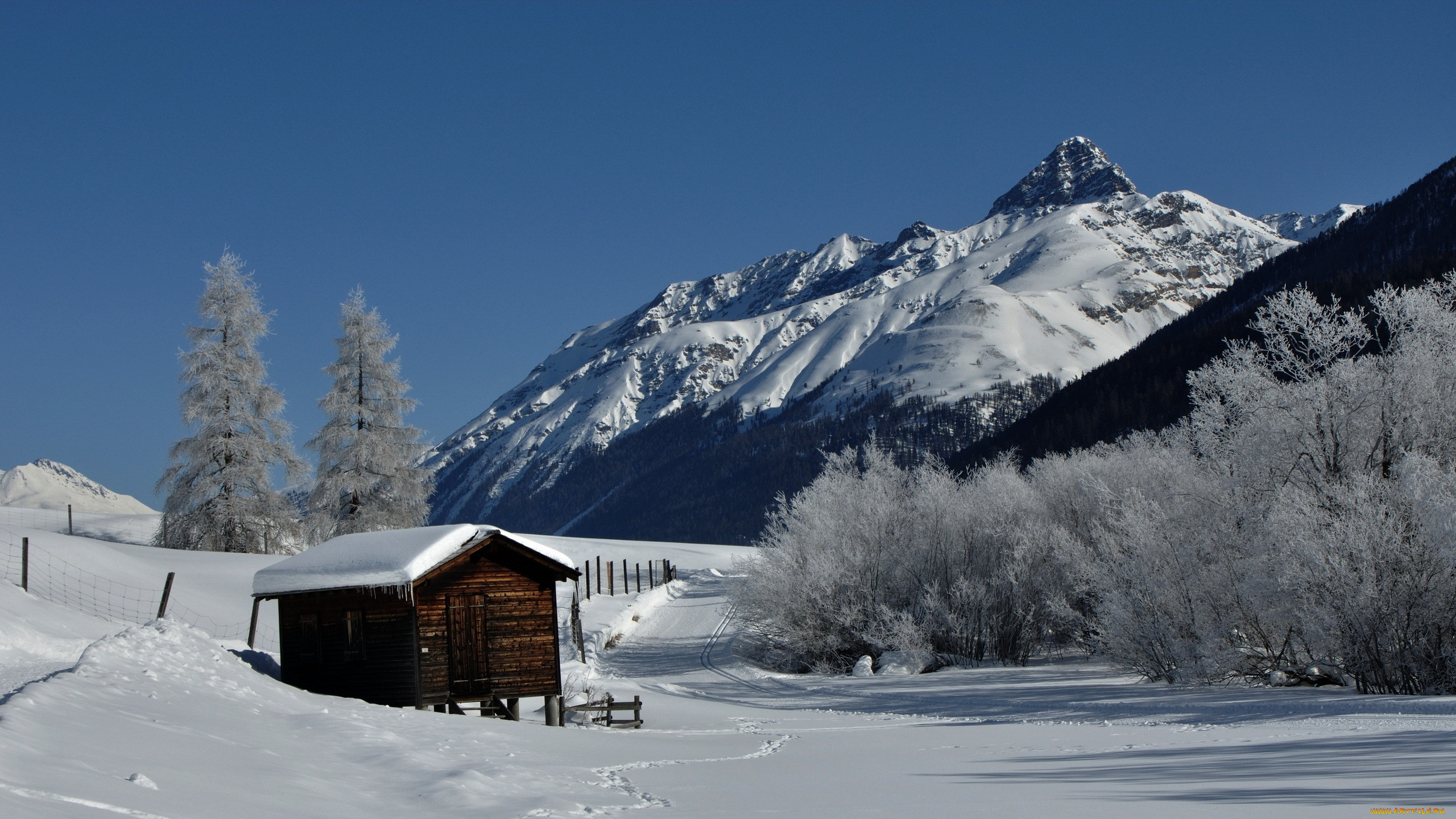 Горы снег дома. Маунтин-Виллидж (Аляска). Дом в снежных горах. Заснеженный домик в горах. Домик в горах снег.